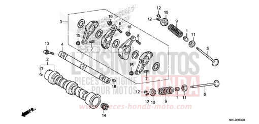 ALBERO A CAMME/VALVOLA NC750XDK di 2019